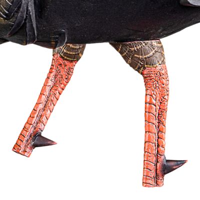 Image showing  HDR Strutter Turkey Decoy