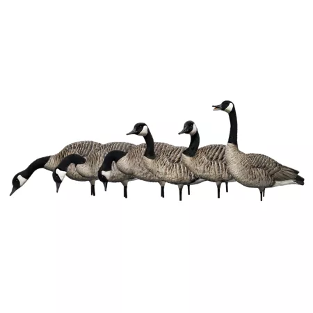 Avian X AXP Fusion Honkers Duck & Goose Decoys