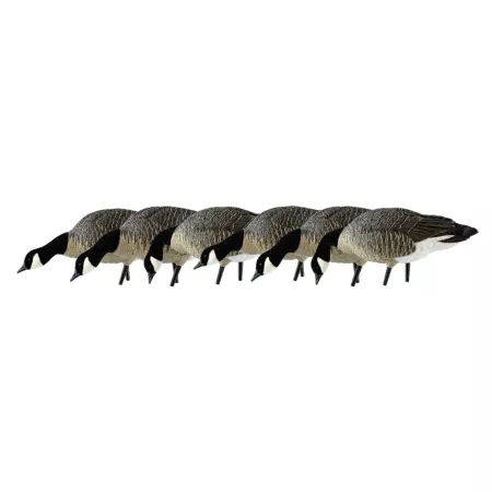 Avian X AXP Feeder Lessers Duck & Goose Decoys