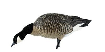 Image showing  AXP Outfitter Lessers