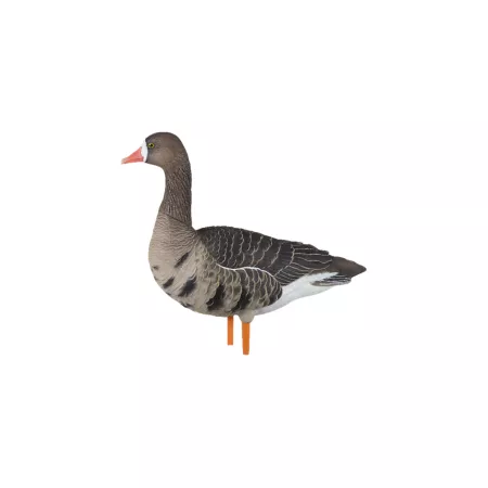 Avian X AXP Fusion Specklebellys Duck & Goose Decoys