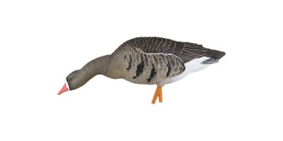 Image showing  AXP Fusion Specklebellys