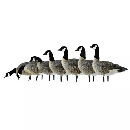 Avian X AXF Outfitter Lessiers Duck & Goose Decoys