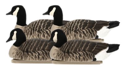 Image showing  Top Flight Lesser Floaters