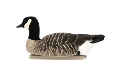 Image showing  Top Flight Lesser Floaters