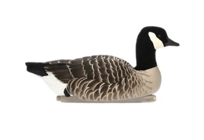 Image showing  Top Flight Lesser Floaters