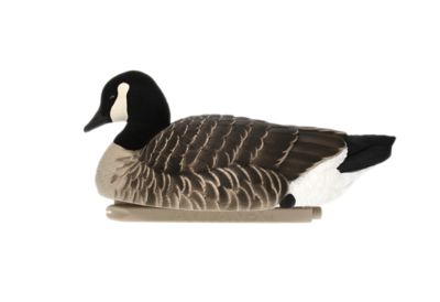 Image showing  Top Flight Lesser Floaters