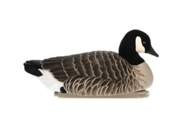 Image showing 5 th Avian X Top Flight Lesser Floaters