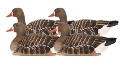 Image showing  Top Flight Specklebelly Floaters