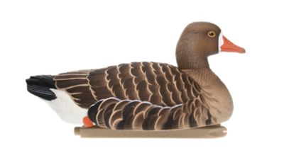 Image showing  Top Flight Specklebelly Floaters