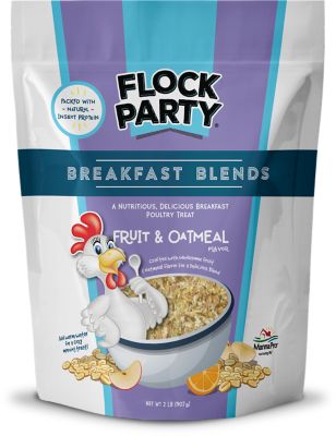 Flock Party Fruit and Oatmeal Breakfast Blend Poultry Treat, 2 lb.