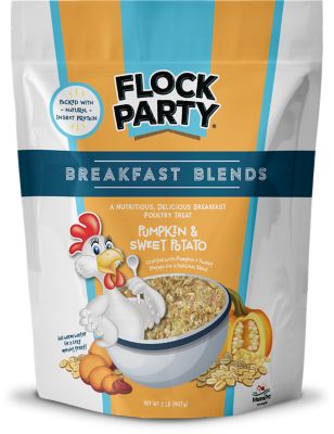 Flock Party Pumpkin and Sweet Potato Breakfast Blend Poultry Treat, 2 lb.