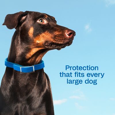 Image showing  Plus Flea and Tick Collar for Large Dogs with Up to 25 in. Neck