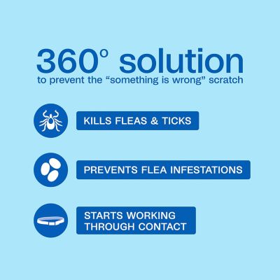 Image showing  Plus Flea and Tick Collar for Small Dogs and Puppies with Up to 15 in. Neck