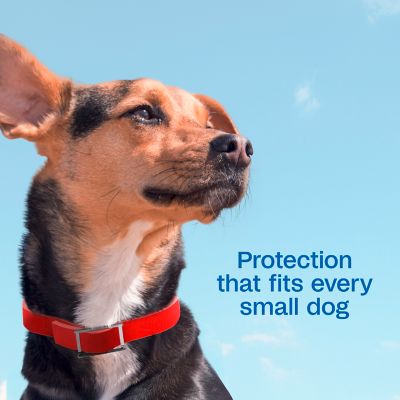 Image showing  Plus Flea and Tick Collar for Small Dogs and Puppies with Up to 15 in. Neck