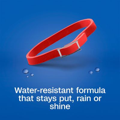 Image showing  Plus Flea and Tick Collar for Small Dogs and Puppies with Up to 15 in. Neck