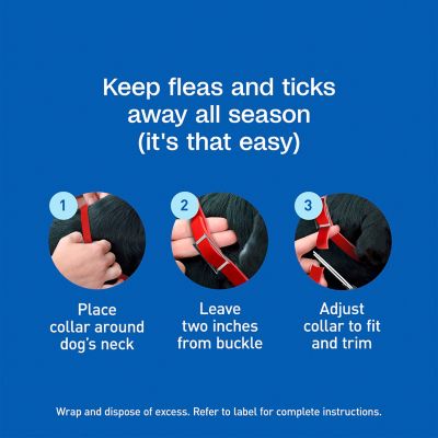 Image showing 8 th Adams Plus Flea and Tick Collar for Small Dogs and Puppies with Up to 15 in. Neck