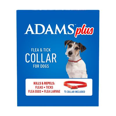 Image showing 9 th Adams Plus Flea and Tick Collar for Small Dogs and Puppies with Up to 15 in. Neck