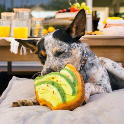 Image showing  Barking Brunch Collection, Avo-Doggo Toast, Plush Dog Toy