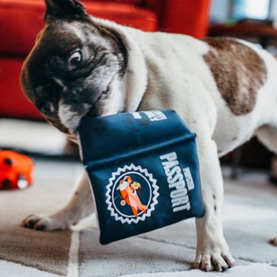 Image showing 2 th P.L.A.Y. Globetrotter Collection, Pupster Passport, Plush Dog Toy