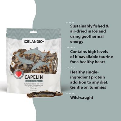Image showing  Whole Fish & Pieces Dog Treats Capelin - 9 oz. Bag