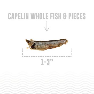 Image showing  Whole Fish & Pieces Dog Treats Capelin - 9 oz. Bag