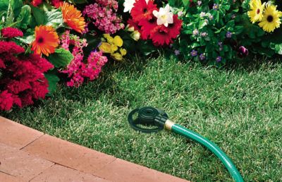 Image showing  Dad's Reliable Zinc Spot Sprinkler