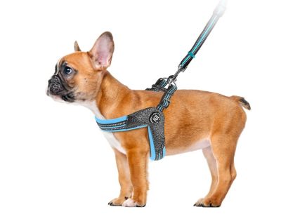 Zippy Dynamics STRIDE Adjustable Step-In Dog Harness