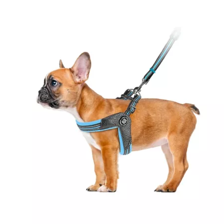 Zippy Dynamics STRIDE Adjustable Dog Harness Dog Basic Harnesses