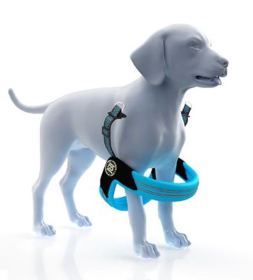 Image showing  STRIDE Adjustable Step-In Dog Harness