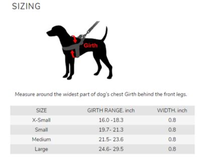 Image showing  STRIDE Adjustable Step-In Dog Harness