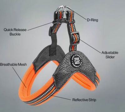 Image showing  STRIDE Adjustable Step-In Dog Harness