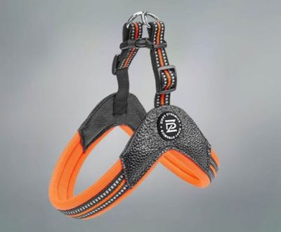 Image showing  STRIDE Adjustable Step-In Dog Harness