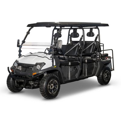 Bighorn EV8 Limo Electric Cart / Side by Side UTV/ATV, 6 Seater