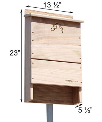 Image showing  Triple-Celled 250-Bat House