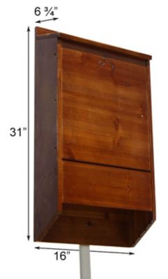 Image showing  Premium Stained 400-Bat House, Dark Brown