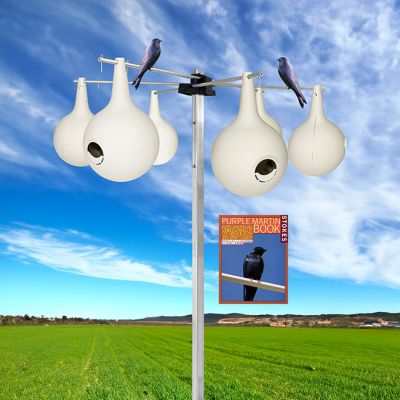 BestNest Purple Martin Gourds with Hanging Bracket and Pole Kit, 34 in. x 34 in. x 15 ft.