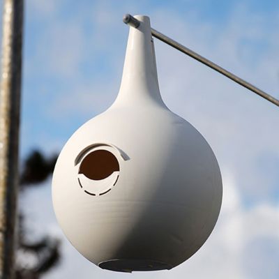 Image showing  Purple Martin Gourds with Hanging Bracket and Pole Kit, 34 in. x 34 in. x 15 ft.