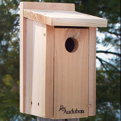 BestNest Audubon Cedar Bluebird House with Pole and Hole Protector
