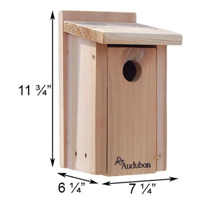 Image showing  Audubon Cedar Bluebird House with Pole and Hole Protector, 7.25 in. x 6.25 in. x 11.75 in.