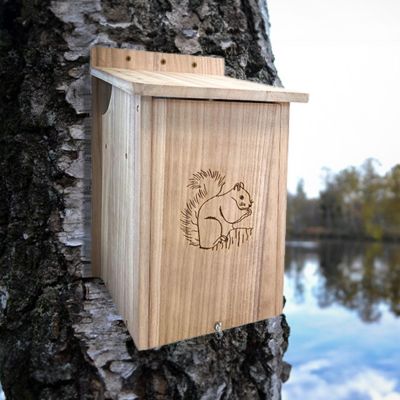 Prime Retreat Squirrel House by Prime Retreat