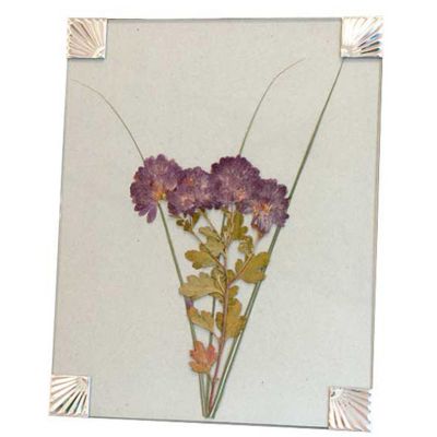 Image showing  Nature Press, 12 in. x 18 in., 10 pc.