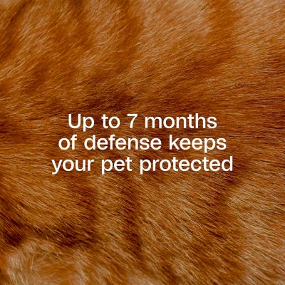 Image showing  Plus Flea & Tick Collar for Cats, 1 -Pack