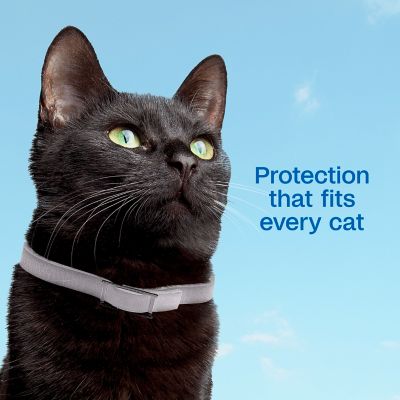 Image showing  Plus Flea & Tick Collar for Cats, 1 -Pack