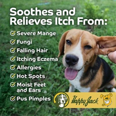 Image showing 5 th Happy Jack Mange Medicine for Dogs, 8 oz.