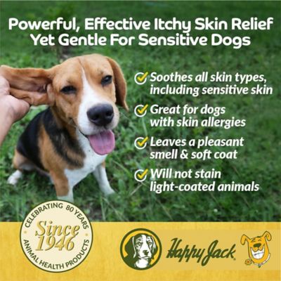 Image showing  Itch No More Scented Shampoo for Dogs, Helps with Flea Bites, Allergies and Itchy Skin