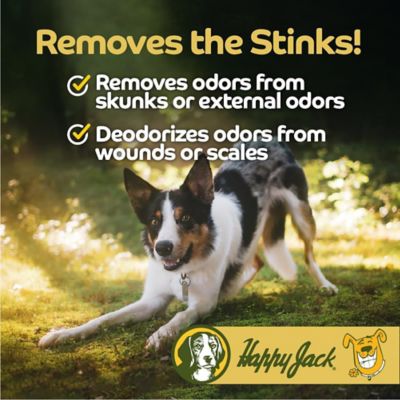 Image showing  Itch No More Scented Shampoo for Dogs, Helps with Flea Bites, Allergies and Itchy Skin