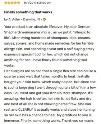 Image showing 5 th Happy Jack Itch No More Scented Shampoo for Dogs, Helps with Flea Bites, Allergies and Itchy Skin