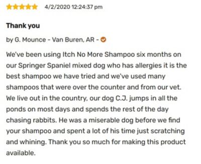 Image showing 6 th Happy Jack Itch No More Scented Shampoo for Dogs, Helps with Flea Bites, Allergies and Itchy Skin