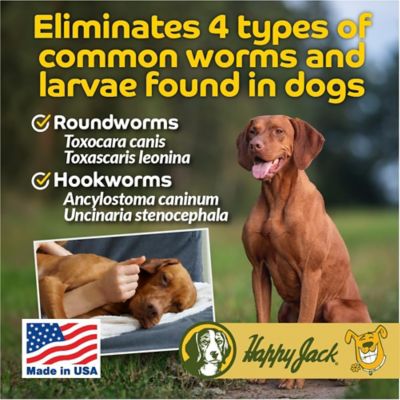 Image showing  Liqui-Vict 2X Liquid Dewormer for Dogs, Removes 2 Types of Roundworms and 2 Types of Hookworms, 2 oz.